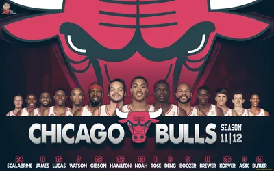 Картинка Chicago Bulls для рабочего стола 1920x1080 Full HD