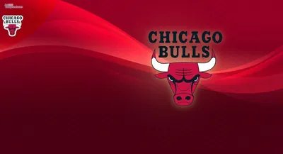 Chicago Bulls New Tabs HD Sports Themes для Google Chrome - Расширение  Скачать