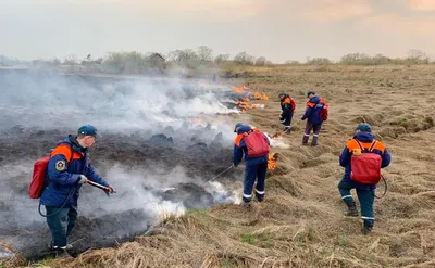 В Приморье ввели ЧС федерального характера из-за ливней - Российская газета