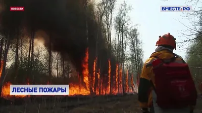 Российский Красный Крест подготовил в Хабаровске команду волонтеров к  реагированию на ЧС