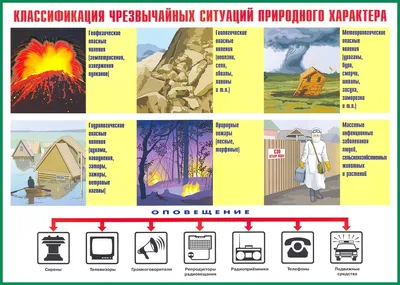 На Ямале из-за лесных пожаров введен режим ЧС | Вслух.ru