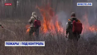 В Калининграде объявлена локальная ЧС - Новости Калининграда - Новый  Калининград.Ru