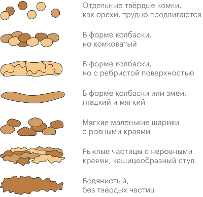 Геморроидальные узлы: симптомы, способы лечения геморроидальных шишек