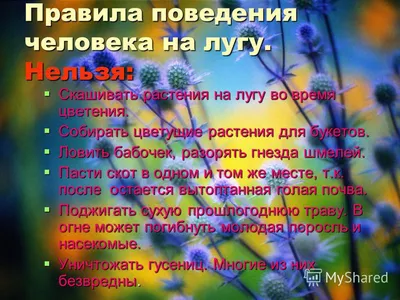 Презентация на тему: \"Луг – природное сообщество Бойко М.И... Цель урока:  Познакомить с природным сообществом – лугом, показать тесную связь  компонентов природного сообщества.\". Скачать бесплатно и без регистрации.