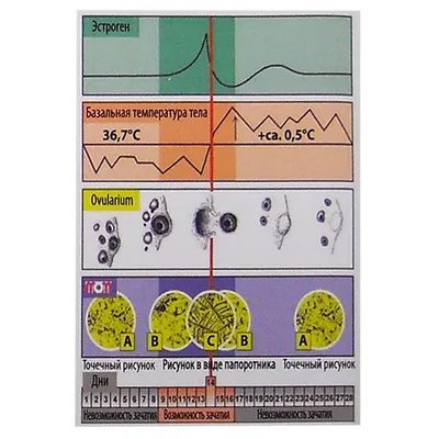 Инструкция OvaTel устройство для определения овуляции - купить в Аптеке  Низких Цен с доставкой по Украине, цена, инструкция, аналоги, отзывы