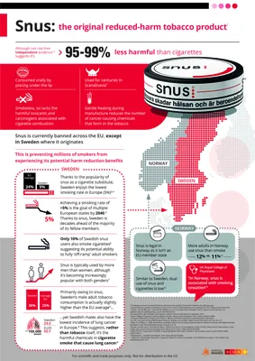 Snus vs nicotine pouches: what is the difference? – SnusCore