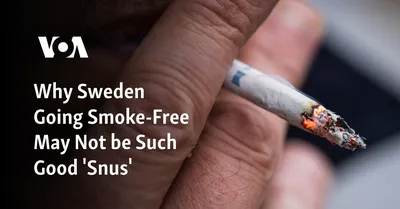 EU Considering Ban on Tobacco-Free Snus – Tobacco Reporter