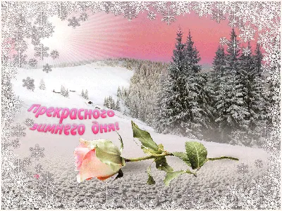 хорошего доброго зимнего дня пожелание｜Поиск в TikTok