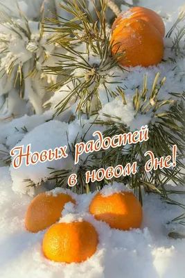 Всем чудесного зимнего дня! :) :: Elena N – Социальная сеть ФотоКто