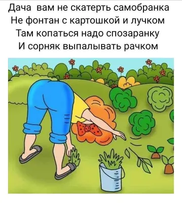 Дачный юмор