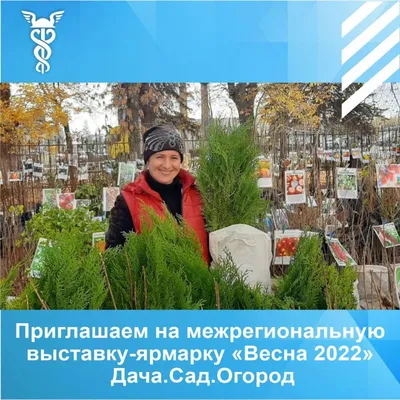 ДАЧА, САД, ОГОРОД, новогодние рецепты 2024 | ВКонтакте
