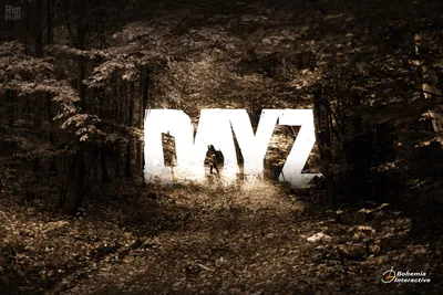 Скриншоты DayZ Standalone - Игровые скриншоты, картинки, снимки экрана,  арты, обои, бокс-арты, галерея, скрины | Gamebomb.ru