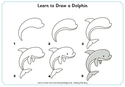 Морские животные картинки для детей | Дельфины, Животные, Для детей