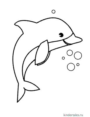 Дельфины милый сборник видео 2021 Dolphins Cute Compilation Video 2021 -  YouTube