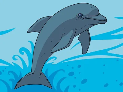 Дельфин детская иллюстрация (39 фото) » Уникальные и креативные картинки  для различных целей - Pohod.club