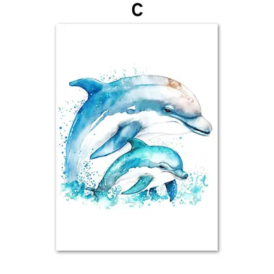 Дрессированный дельфин — раскраска для детей. Распечатать бесплатно.