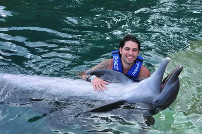 Как дельфины лечат детей