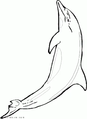 Дельфин мультфильма, считая игры для детей Иллюстрация вектора -  иллюстрации насчитывающей изолировано, характер: 177340230