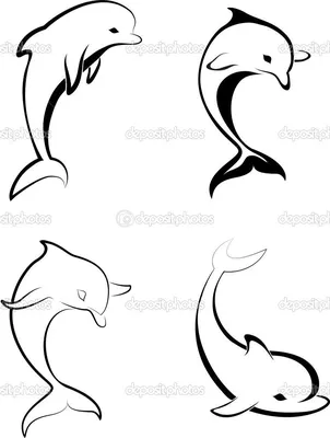 Дельфины картинки нарисованные обои