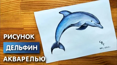 Дельфины — раскраски для детей скачать онлайн бесплатно