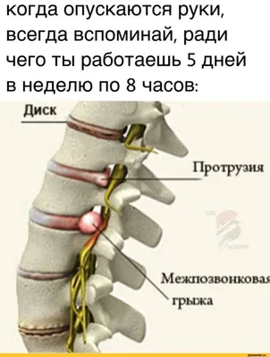 Медицинский Юмор (@medical___humor) • Instagram photos and videos