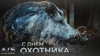 В Якутии отметят День охотника | ИА Красная Весна
