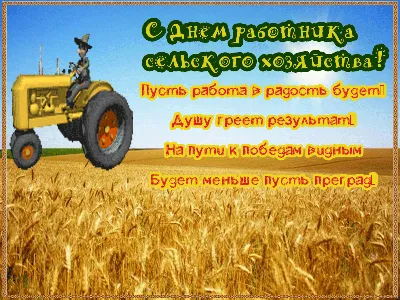 День работника сельского хозяйства и перерабатывающей промышленности:  Почему это важно для нас всех - Усть-Донецкий район