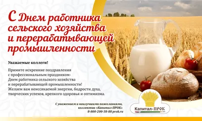 День сельского хозяйства Украины 2021: открытки и поздравления к празднику  | OBOZ.UA
