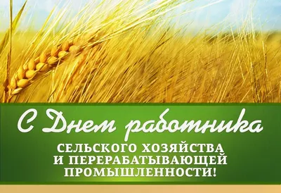 10 октября - День работников сельского хозяйства | 08.10.2021 |  Бокситогорск - БезФормата