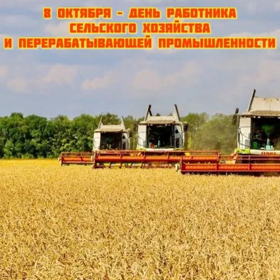 Казахстан празднует День работников сельского хозяйства, пищевой и  перерабатывающей промышленности
