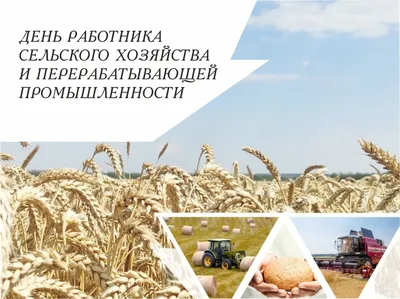 8 октября 2023 — День работников сельского хозяйства / Открытка дня /  Журнал Calend.ru
