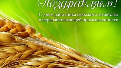 27 октября - праздник в честь День работника сельского хозяйства и  перерабатывающей промышленности | Вурнарский муниципальный округ Чувашской  Республики