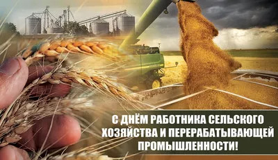 День работников сельского хозяйства и перерабатывающей промышленности  отмечается 9 октября | Администрация Городского округа Подольск