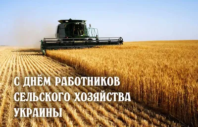 День работника сельского хозяйства