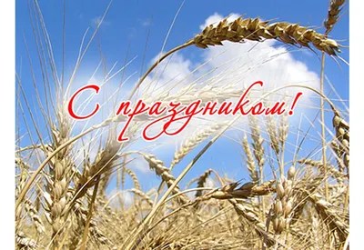 День работников сельского хозяйства и перерабатывающей промышленности  агропромышленного комплекса - ГО Управляющая компания холдинга Концерн  Брестмясомолпром
