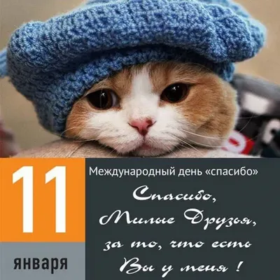 11января Международный День Спасибо#деньспасибо#сднемспасибо#междунаро... |  TikTok