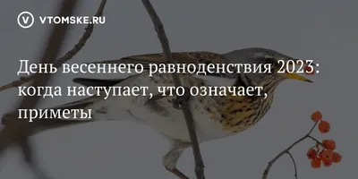 20 марта – день весеннего равноденствия. Суть праздника, традиции, приметы  | Местное время - новости Рубцовска и Алтайского края