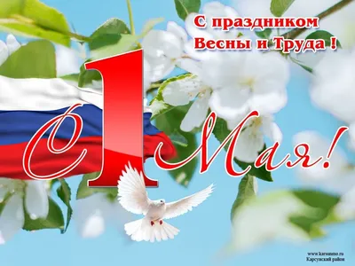 СИАМ консалтинг - 🌷С 1 мая! С праздником Весны и Труда! 🌷 Международный  праздник – День весны и труда, отмечают 1 мая во многих странах мира, в том  числе и России ⠀