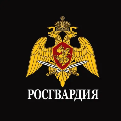 29 октября - День работников службы вневедомственной охраны МВД РФ —  Открытая полиция