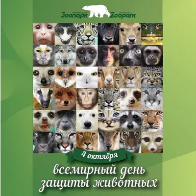 4 октября — Всемирный день защиты животных | Гродненский областной комитет  природных ресурсов и охраны окружающей среды