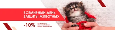 День защиты животных\" - Коллективная работа - аппликация | скачать и  распечатать