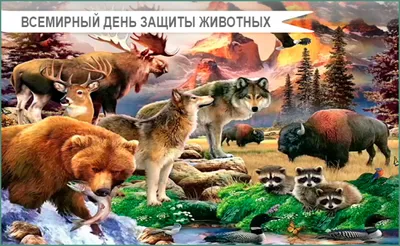 Международный день защиты животных