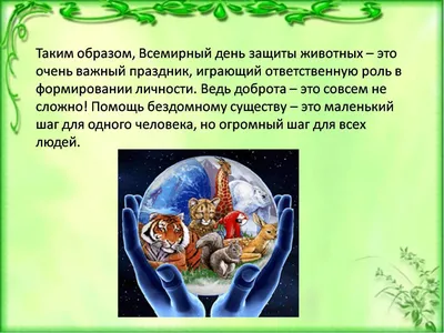 В Запорожье отметили Всемирный день защиты животных – ФОТО | Перший  Запорiзький