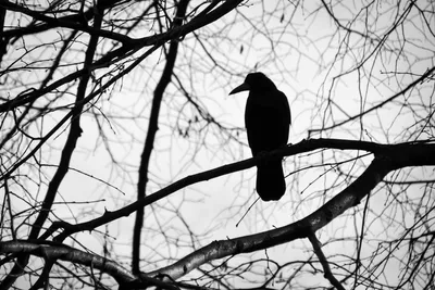 Арты одиночество (Много фото) - treepics.ru