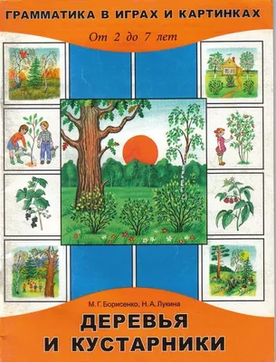 Книга Деревья и кустарники - купить детской энциклопедии в  интернет-магазинах, цены на Мегамаркет |