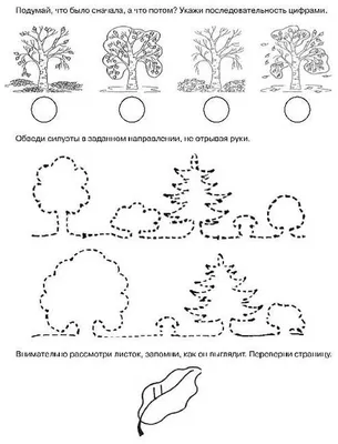 Мастер-класс «Осеннее дерево» по нетрадиционной технике рисования картонной  втулкой для детей раннего возраста (3 фото). Воспитателям детских садов,  школьным учителям и педагогам - Маам.ру