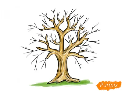 Как нарисовать вишневое дерево поэтапно 6 уроков