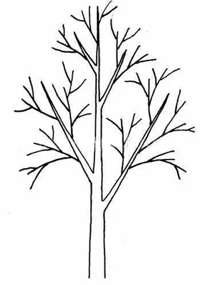 дерево без листя малюнок - Пошук Google | Дерево, Рисовать, Поделки