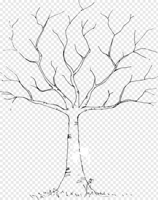 Как нарисовать дерево без листьев поэтапно 7 уроков