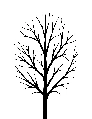 Шаблон дерева без листьев - Блог для саморазвития | Шаблоны, Листья,  Раскраски